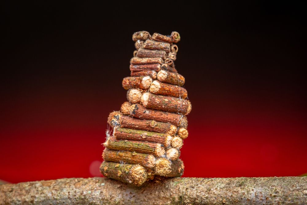 Photograph by AIEW CHEE MING