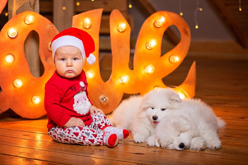 Фотография автора Тамара Нижельская