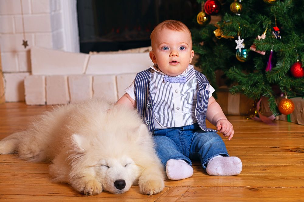 Фотография автора Тамара Нижельская