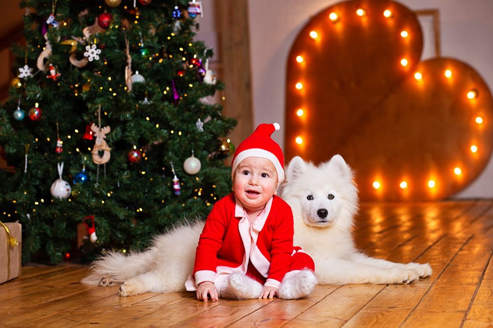 Фотография автора Тамара Нижельская