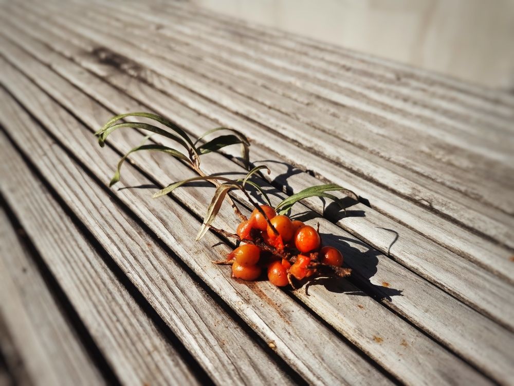 Photograph by Дайана