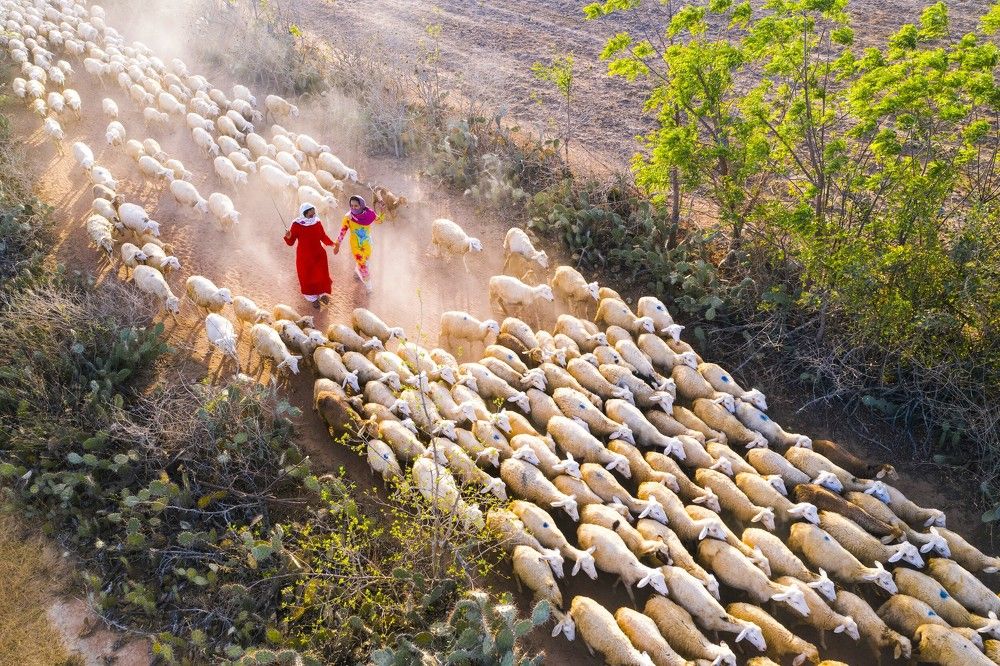 Photograph by Quân Nguyễn