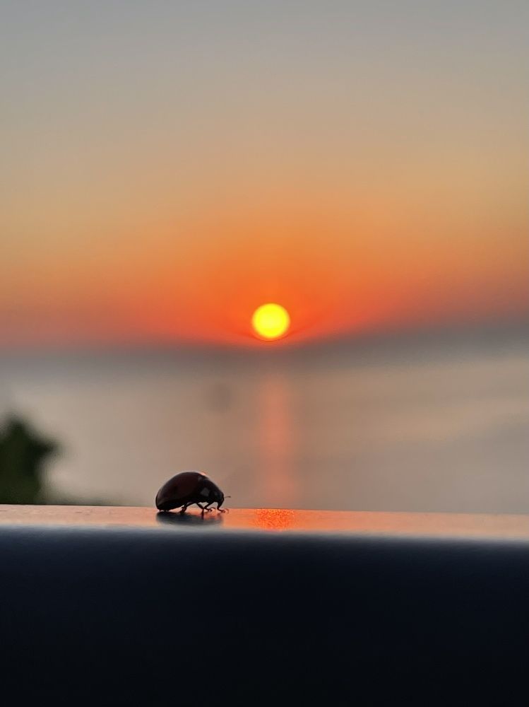 Photograph by Елена Сушкова