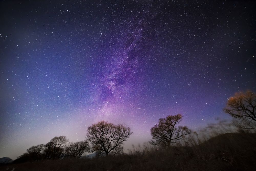 Stardust over the horizon