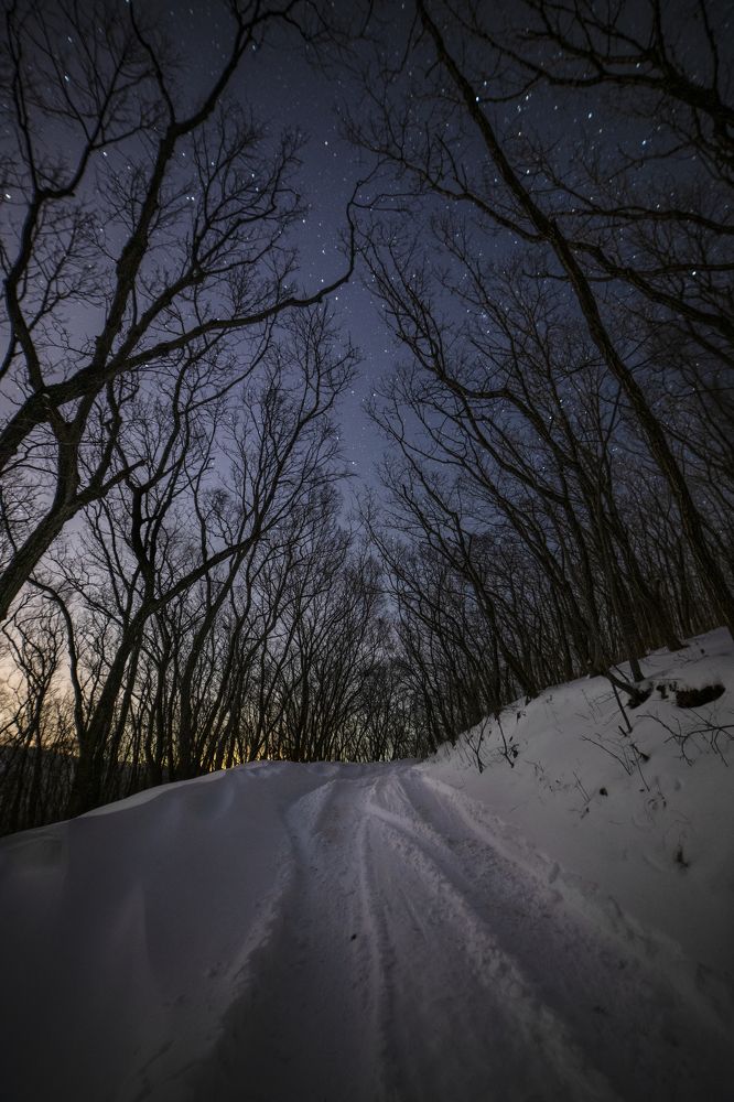 Photograph by Руслан Богданов