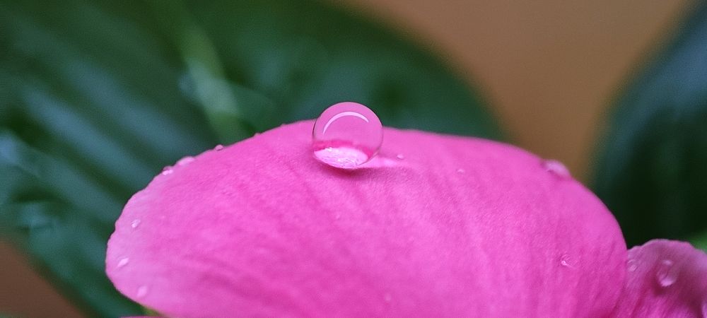 Photograph by Narayan R Pissurlenkar