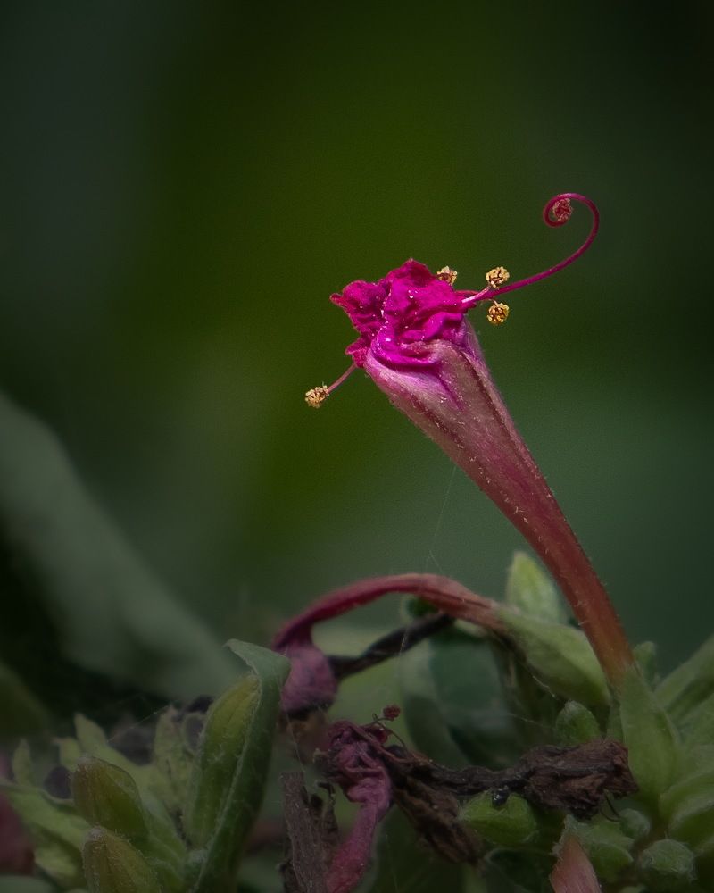 Photograph by Евгений Михеев