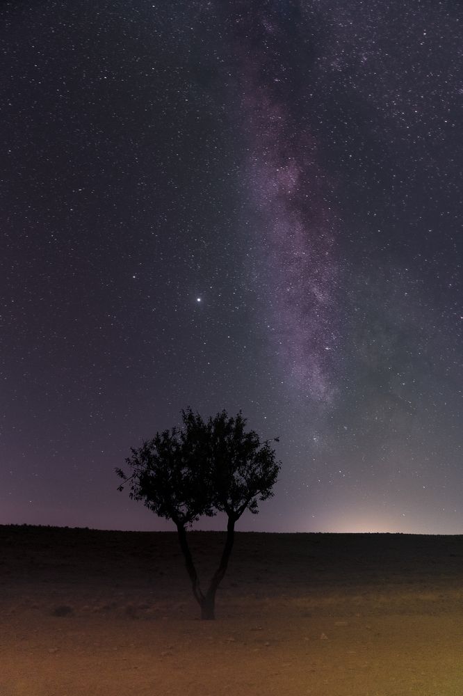 Photograph by fereydoon deliry