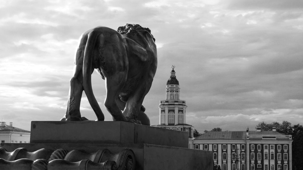 Photograph by Блюмина Елена