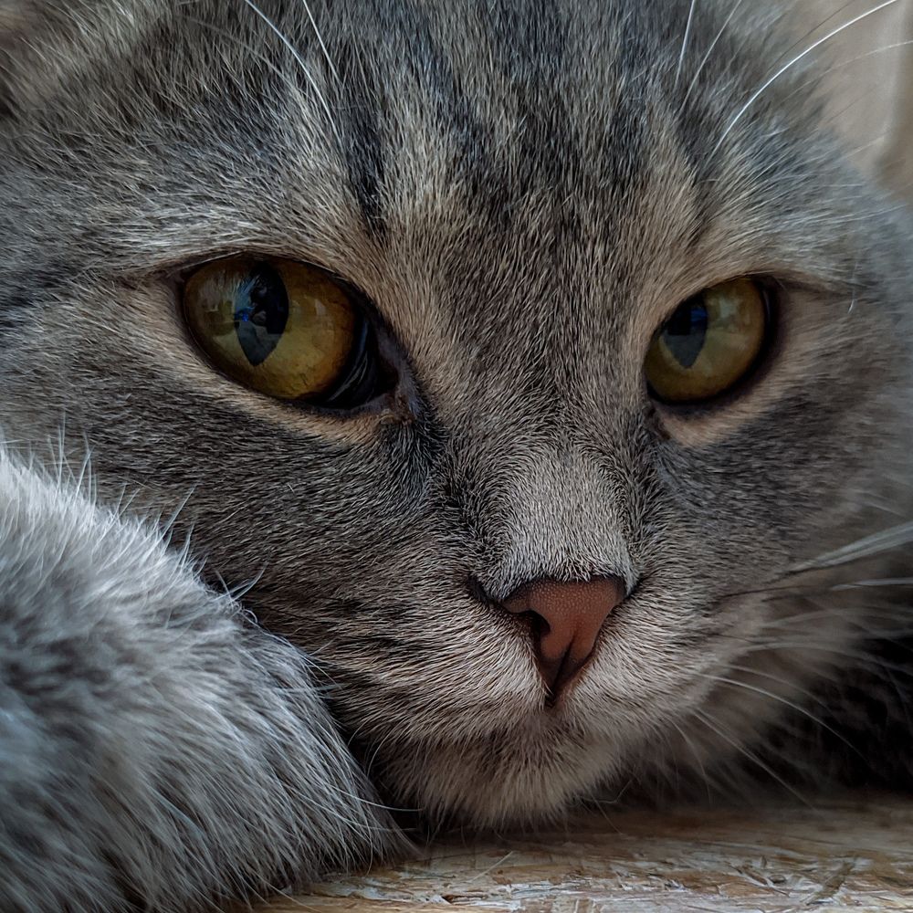 Photograph by Ишниязов Марсель