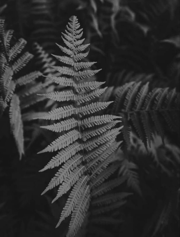 Feeling of Environment