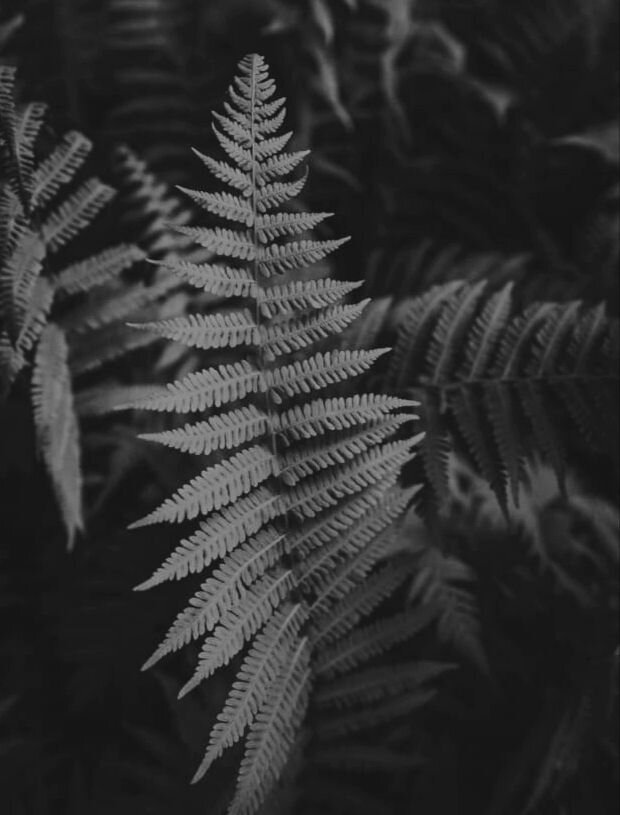 Feeling of Environment