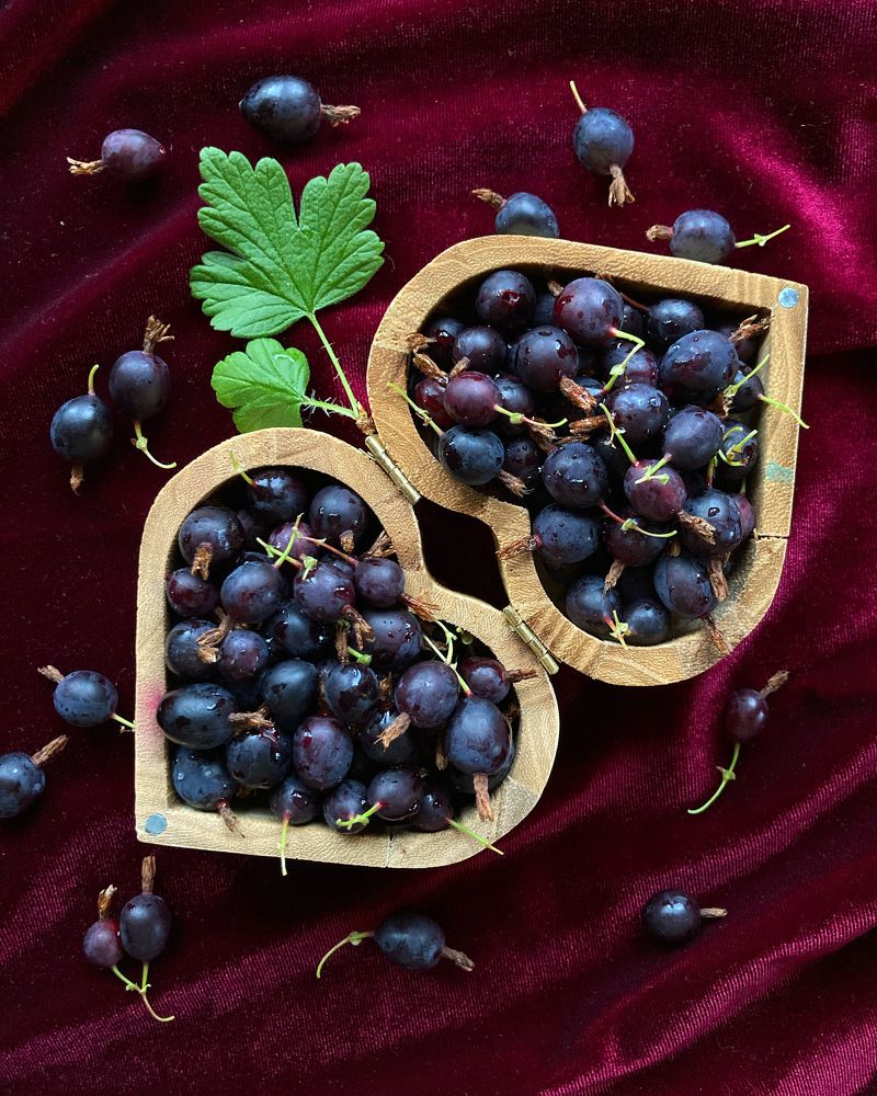 Photograph by Алла Творогова