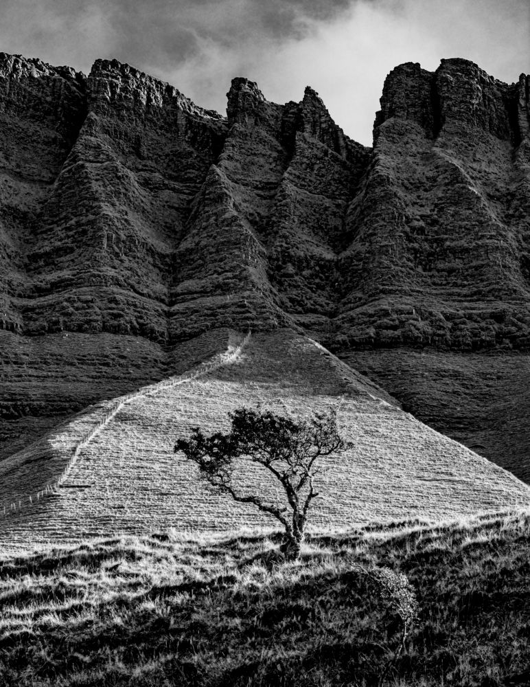 Фотография автора Eddie Lee