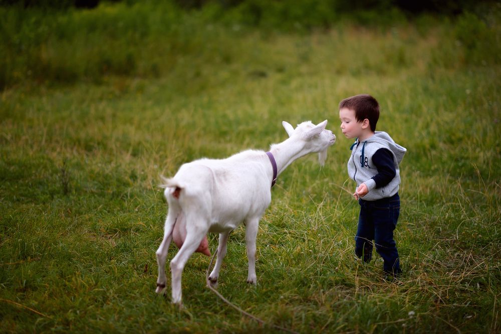 Photograph by Юлия Шестопалова