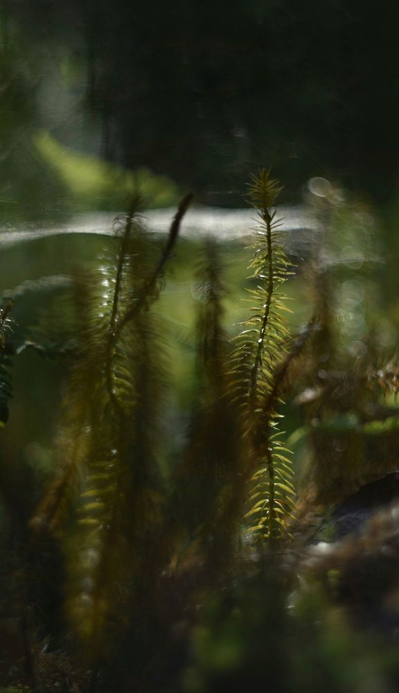 Photograph by Татьяна Юдина