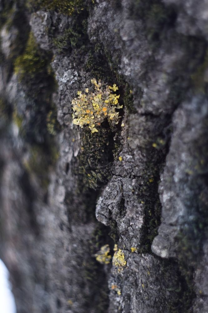 Photograph by Татьяна Юдина