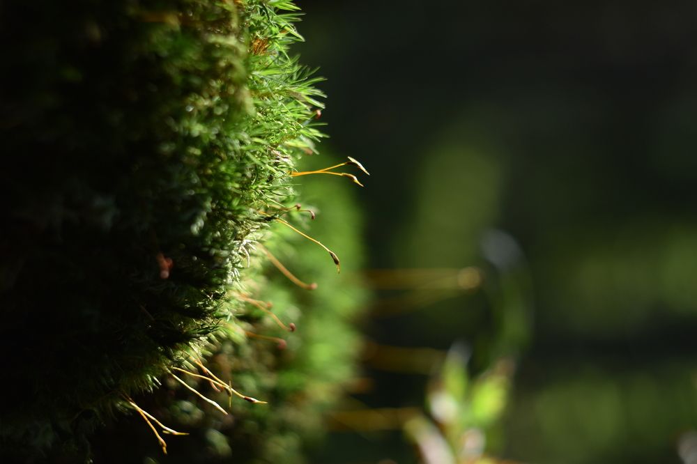 Photograph by Татьяна Юдина