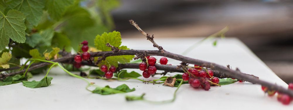 Фотография автора Евгений Даренский