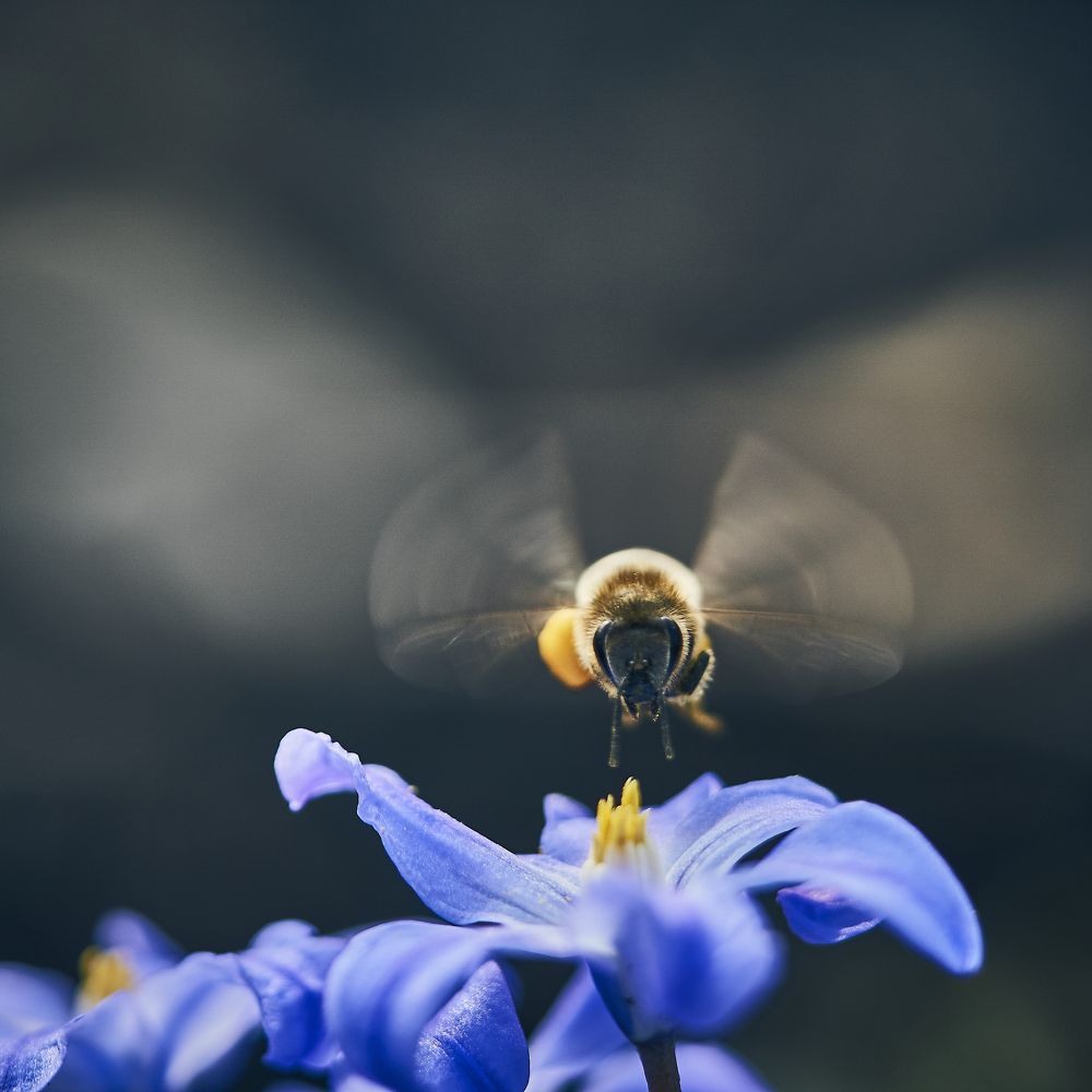 Photograph by Natalie Liedtke