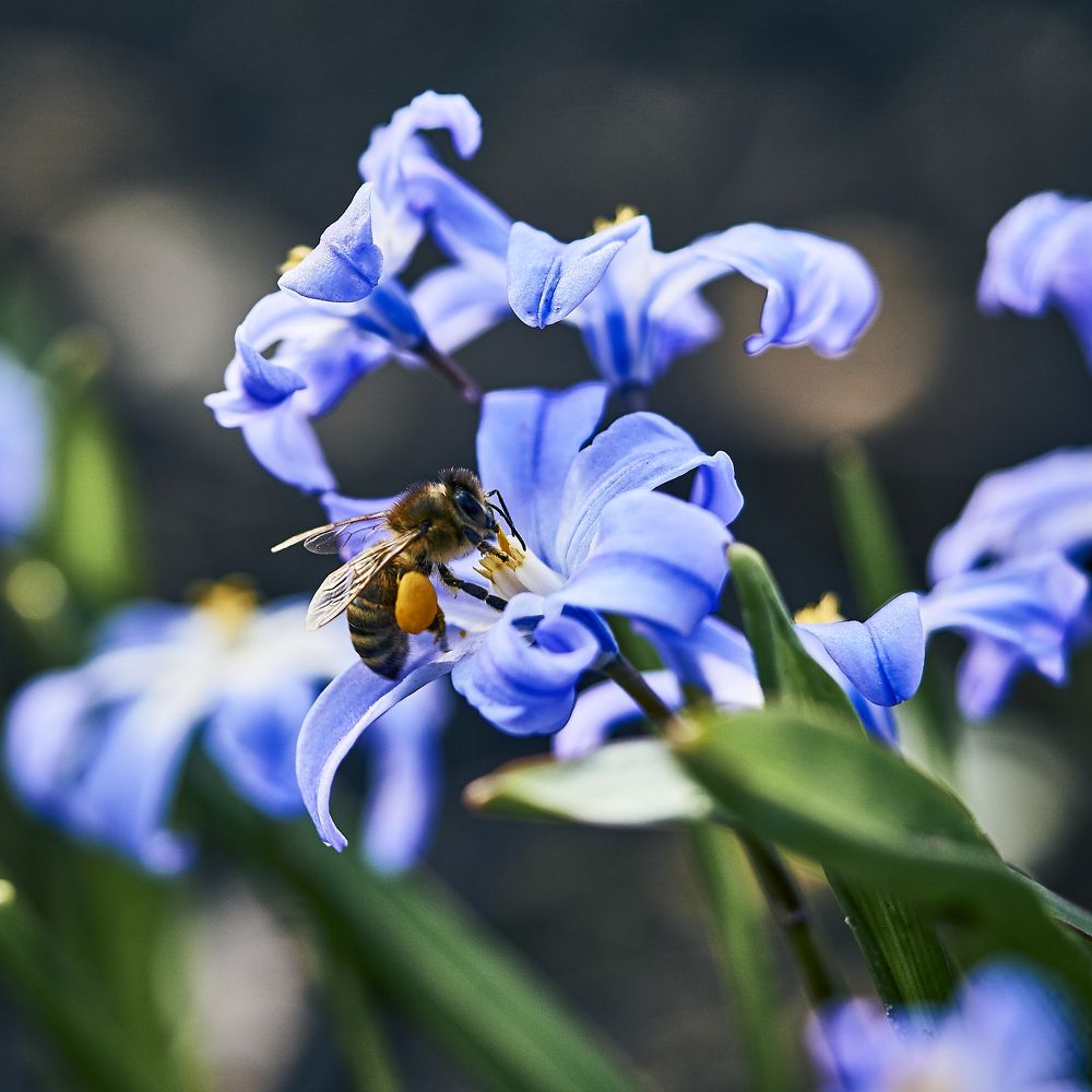 Photograph by Natalie Liedtke