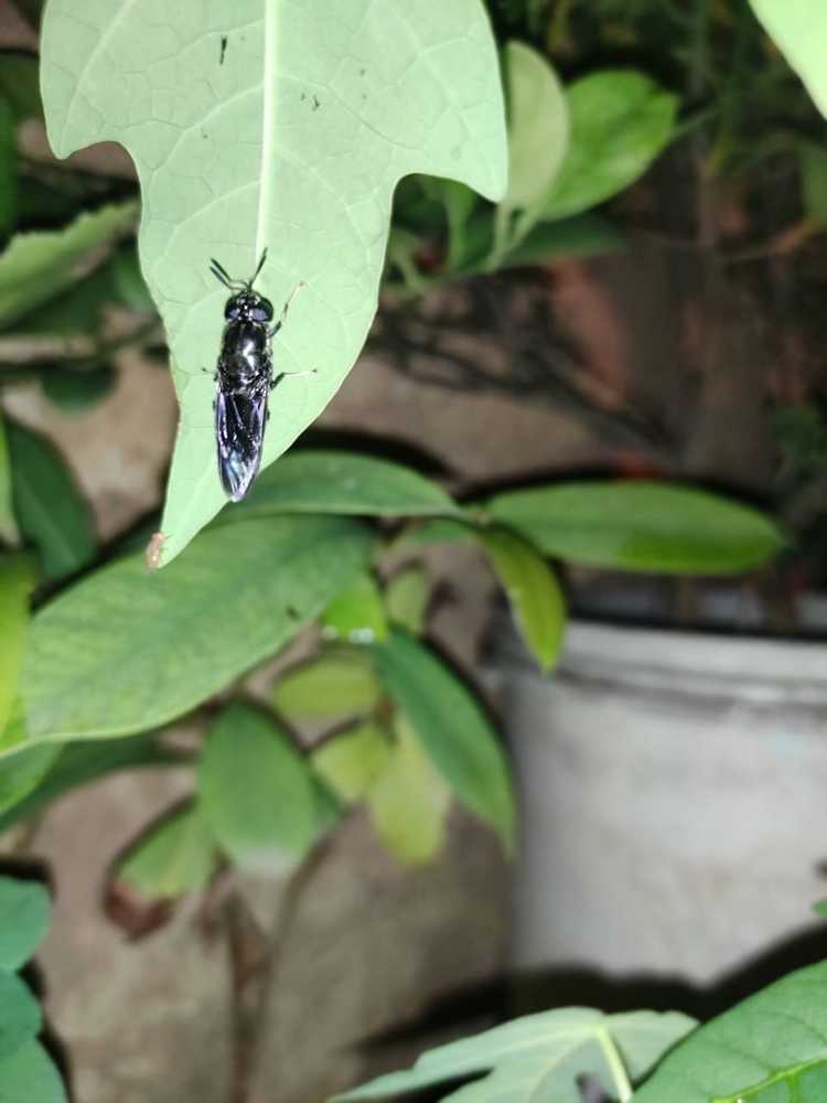 Photograph by Diwakaran D