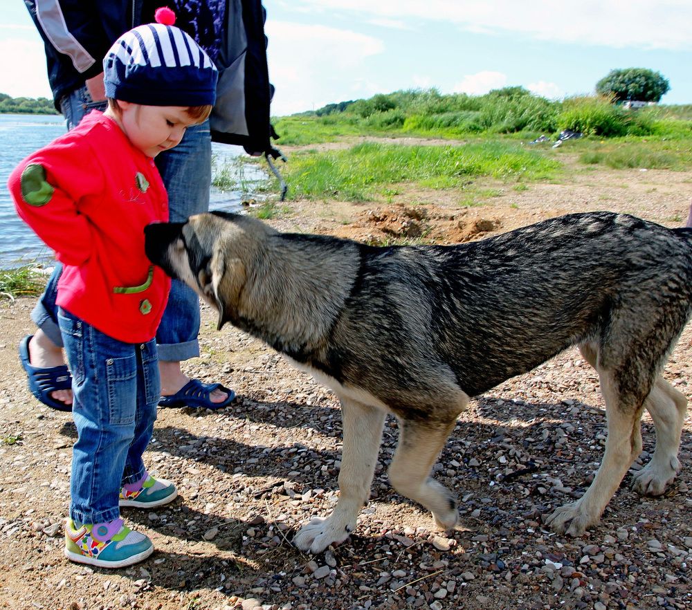 Photograph by Александр Бугаенко