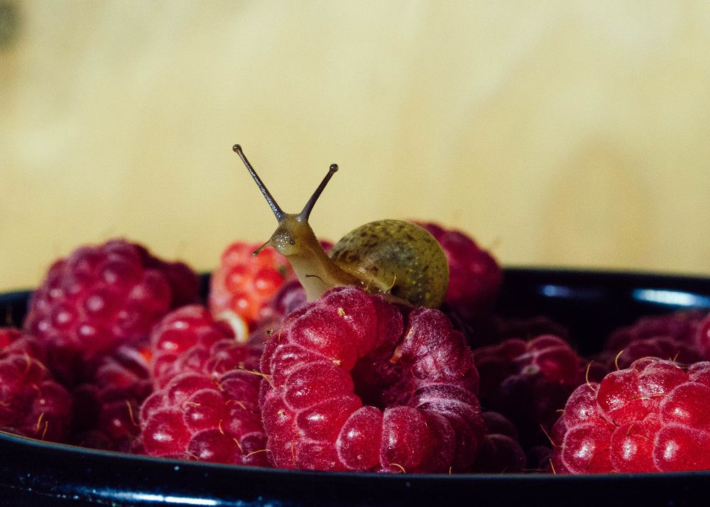 Photograph by Мария Дубова