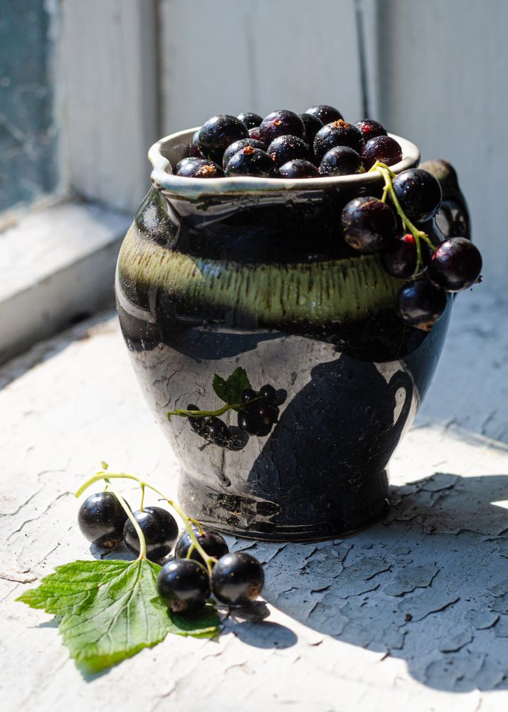 Photograph by Мария Дубова