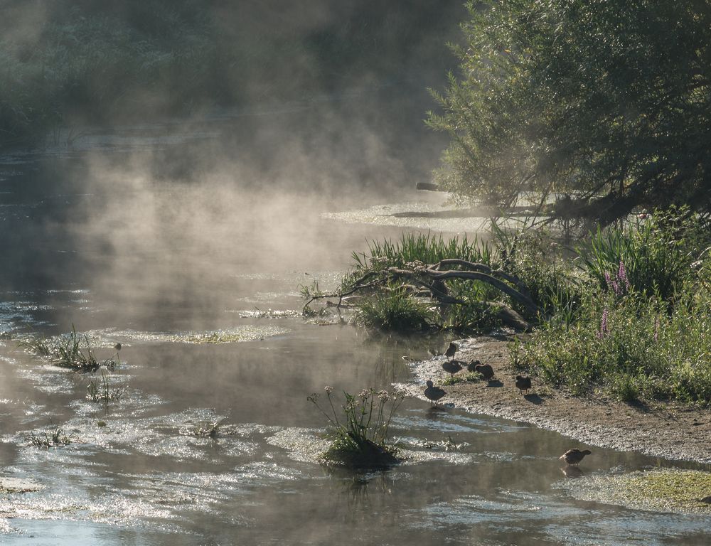 Фотография автора Виктор Руденко