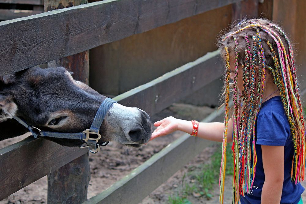 Photograph by Александр Бугаенко