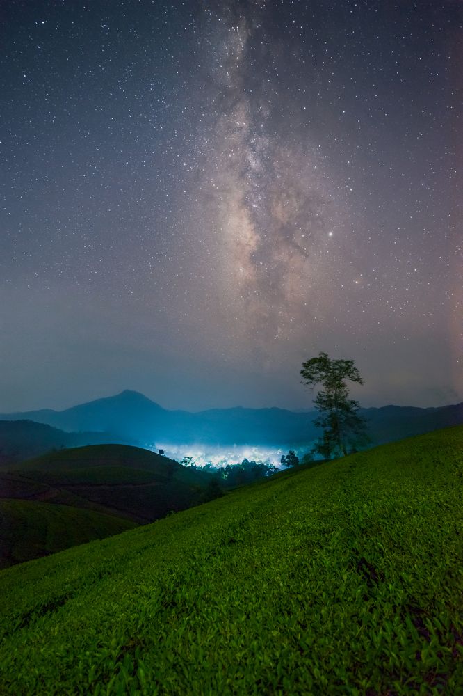 Photograph by TRONG DOI NGUYEN