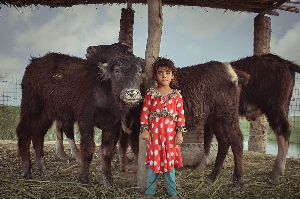 Photograph by Wadaa karem Karem