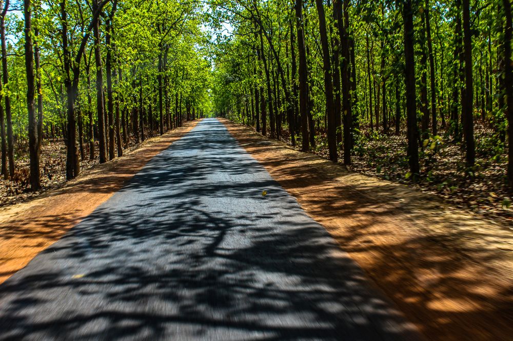 Photograph by Susobhan Biswas