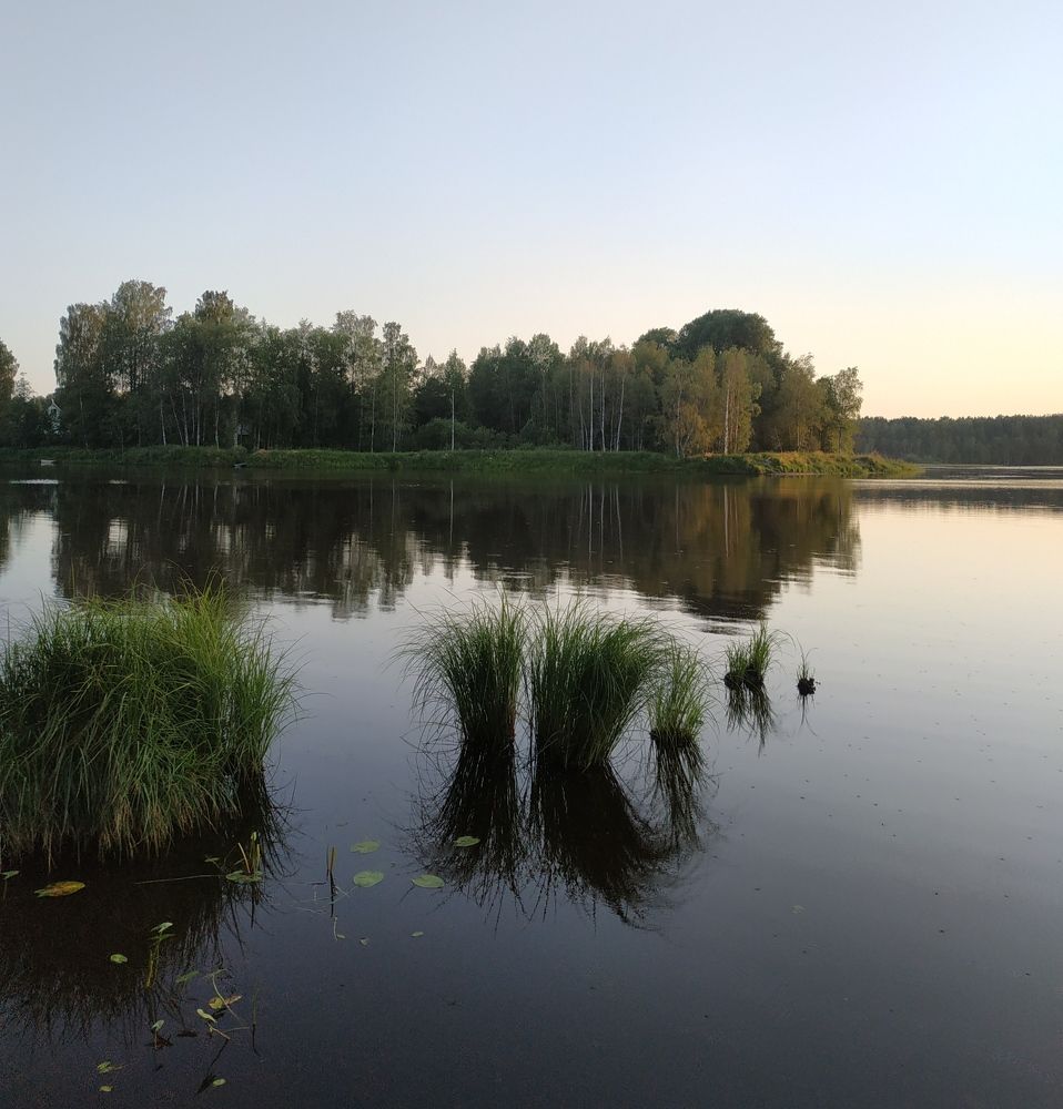 Photograph by Светлана Белозерова