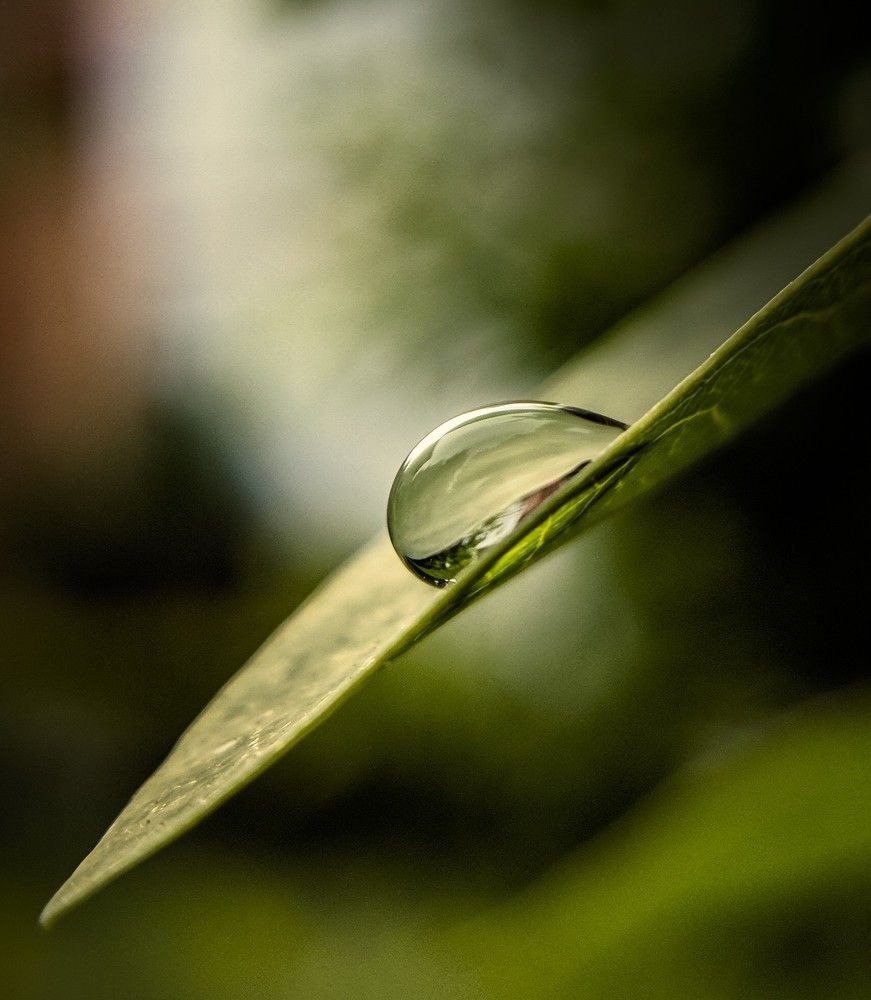 Photograph by vidit singhvi