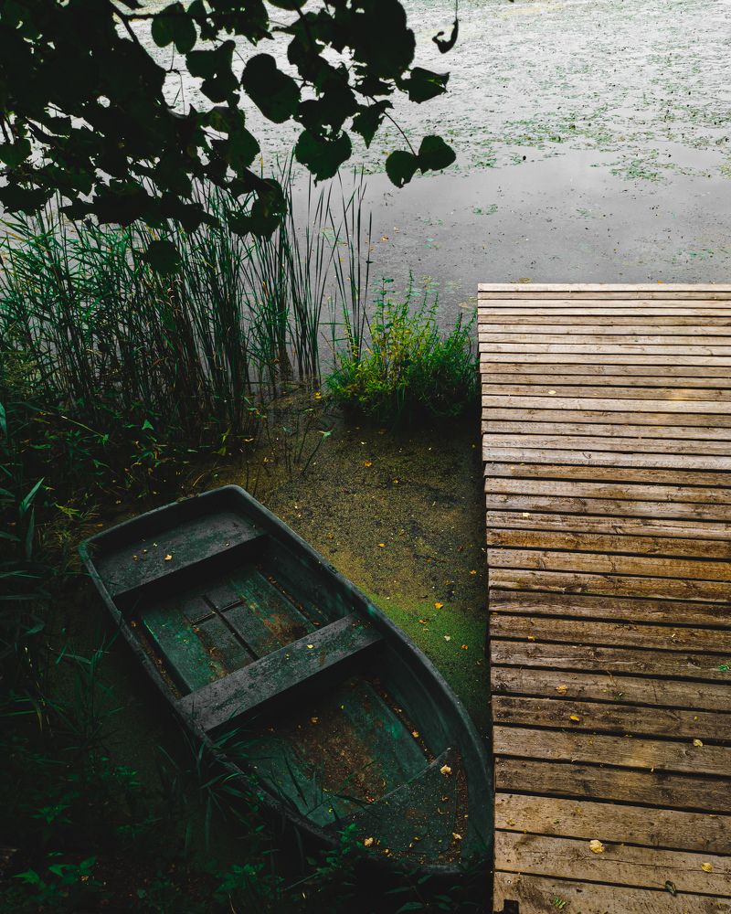 Фотография автора олег романов