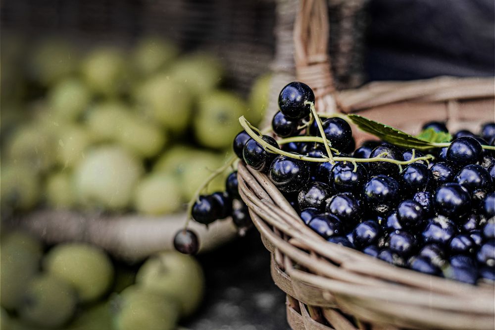 Photograph by Мария Дубова