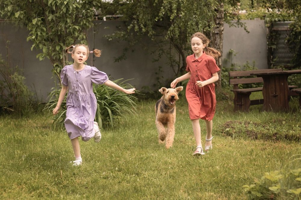 Приключение Электроника