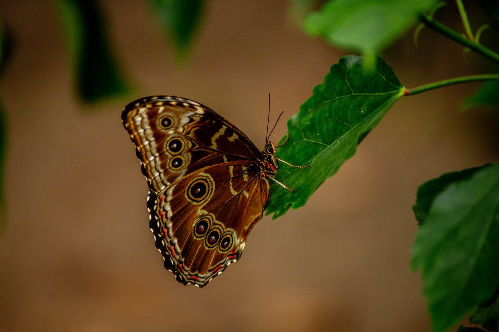 Photograph by Дима Захаров