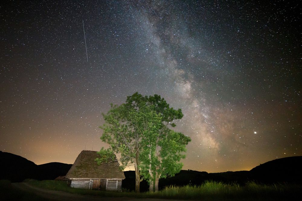 Photograph by Alex Coman