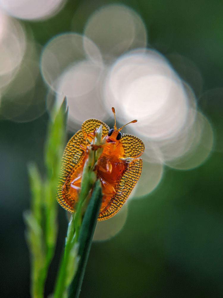 Photograph by Ajeesh A