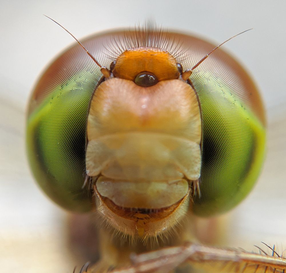 Photograph by Ajeesh A