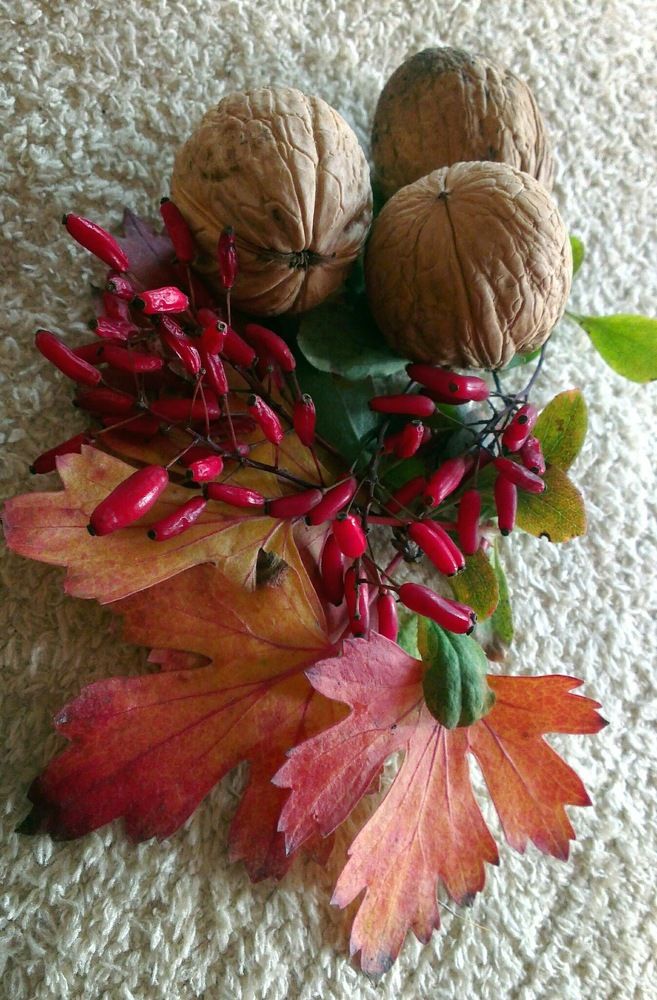 Фотография автора Дана Богинская