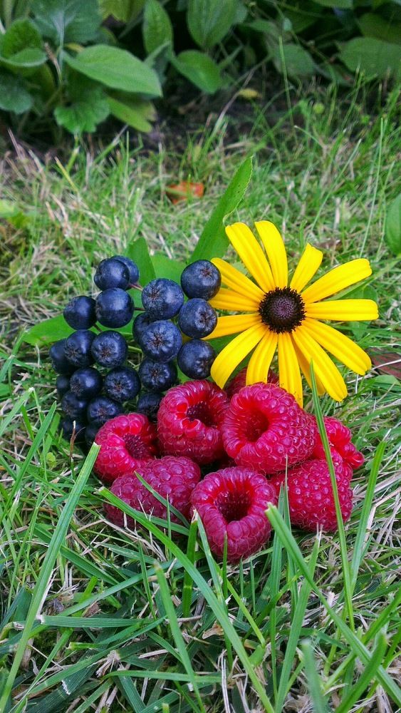 Фотография автора Дана Богинская