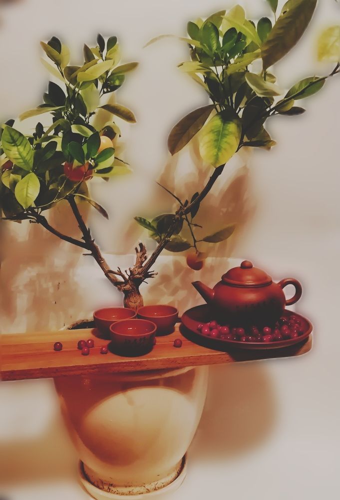 Photograph by Елена Лепешкина