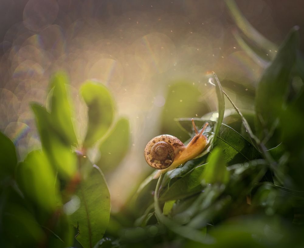 Photograph by Елена Иванова