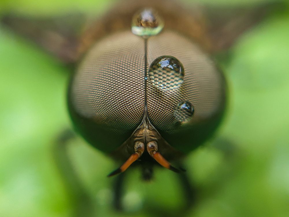 Photograph by Ajeesh A