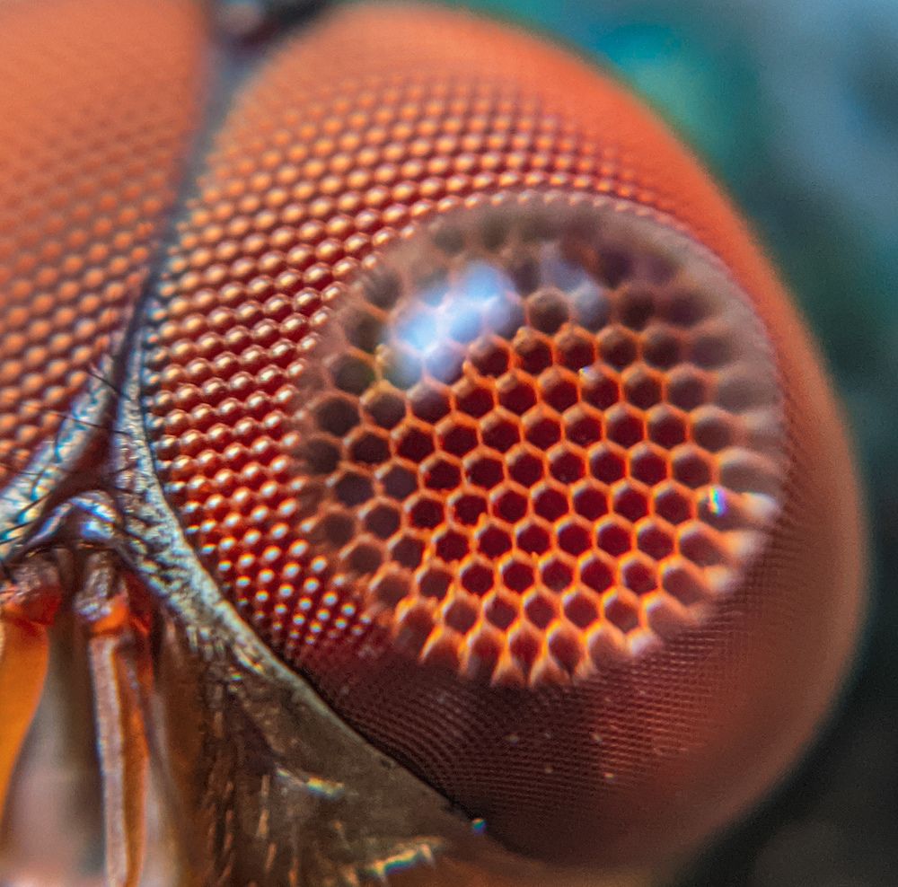 Photograph by Ajeesh A