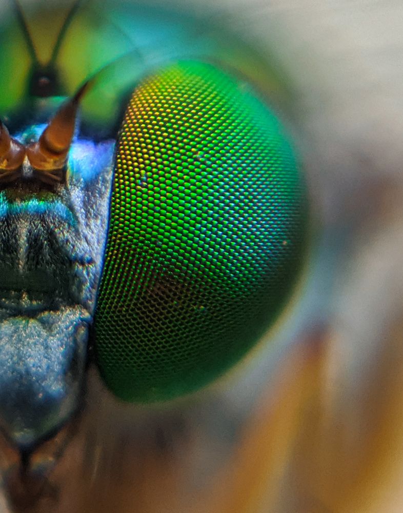 Photograph by Ajeesh A